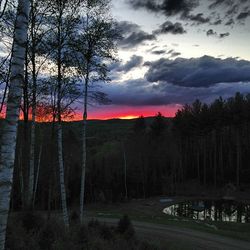 Bare trees on landscape against cloudy sky