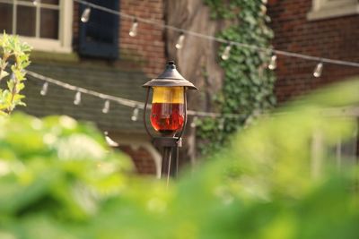 Close-up of wine glass against building