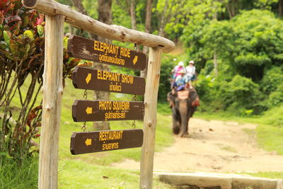 Information sign on tree trunk