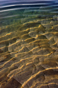 View of fish in sea