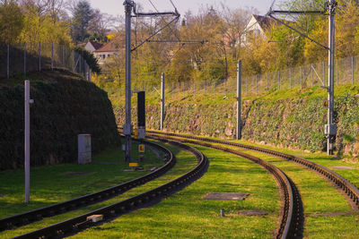 Railroad tracks amidst trees on field