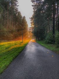 Road amidst trees in forest against sky