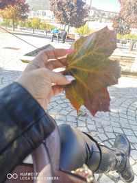 Midsection of person holding autumn leaf on footpath