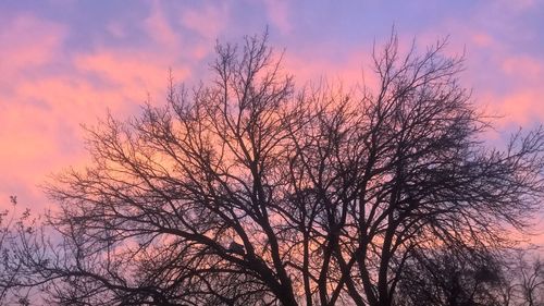 Low angle view of silhouette bare tree against romantic sky