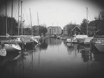 Boats moored at harbor