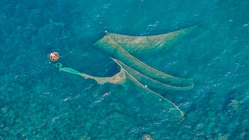 High angle view of swimming in sea