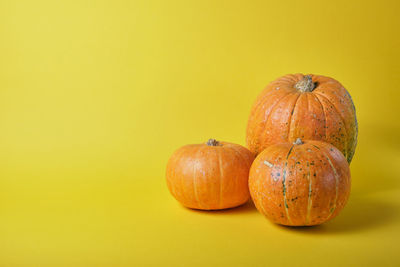 Close-up of pumpkin against yellow background