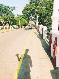 Shadow of palm trees on road