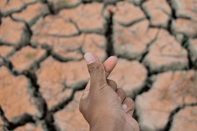 Close-up of hand on field