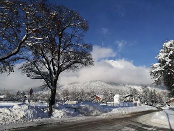 Bare trees on snow covered road against sky