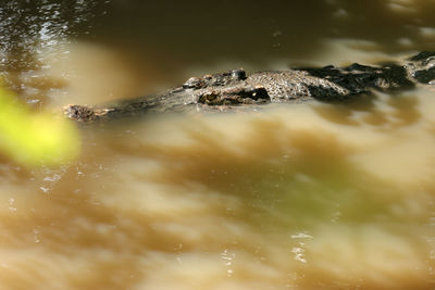 Close-up of water