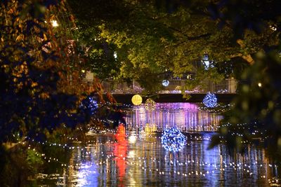 Reflection of trees in water at night