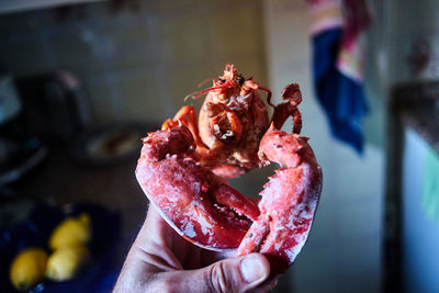 Hand holding a boiled lobster