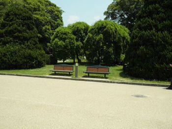 Trees in park against sky