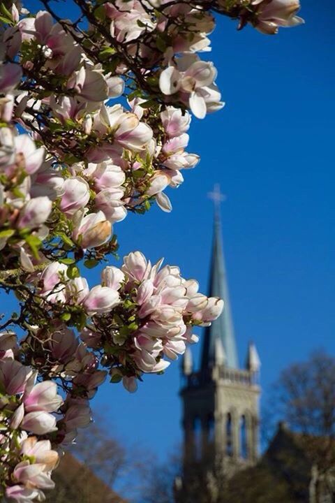 Church in the background