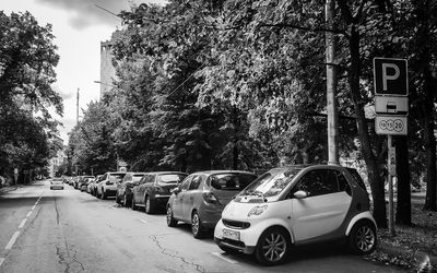 Cars on road against trees in city