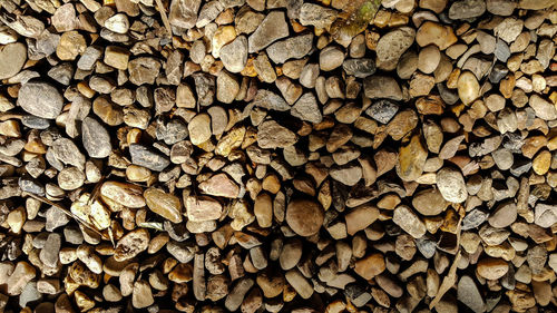 Full frame shot of logs in forest