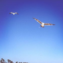 flying