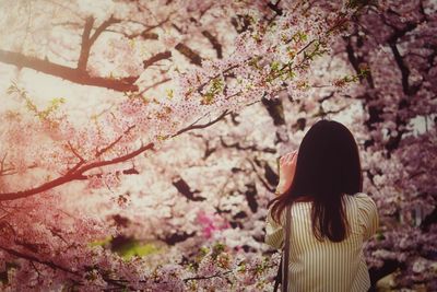 Rear view of a woman against flower trees