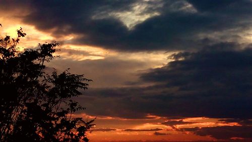 Silhouette of trees against cloudy sky