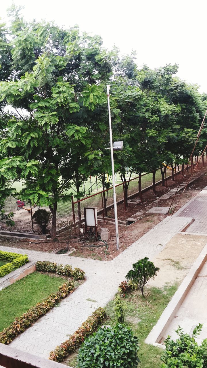 tree, growth, green color, plant, park - man made space, footpath, street light, road, nature, sunlight, grass, street, clear sky, day, formal garden, palm tree, outdoors, built structure, building exterior, incidental people