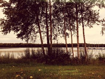 Reflection of trees in lake