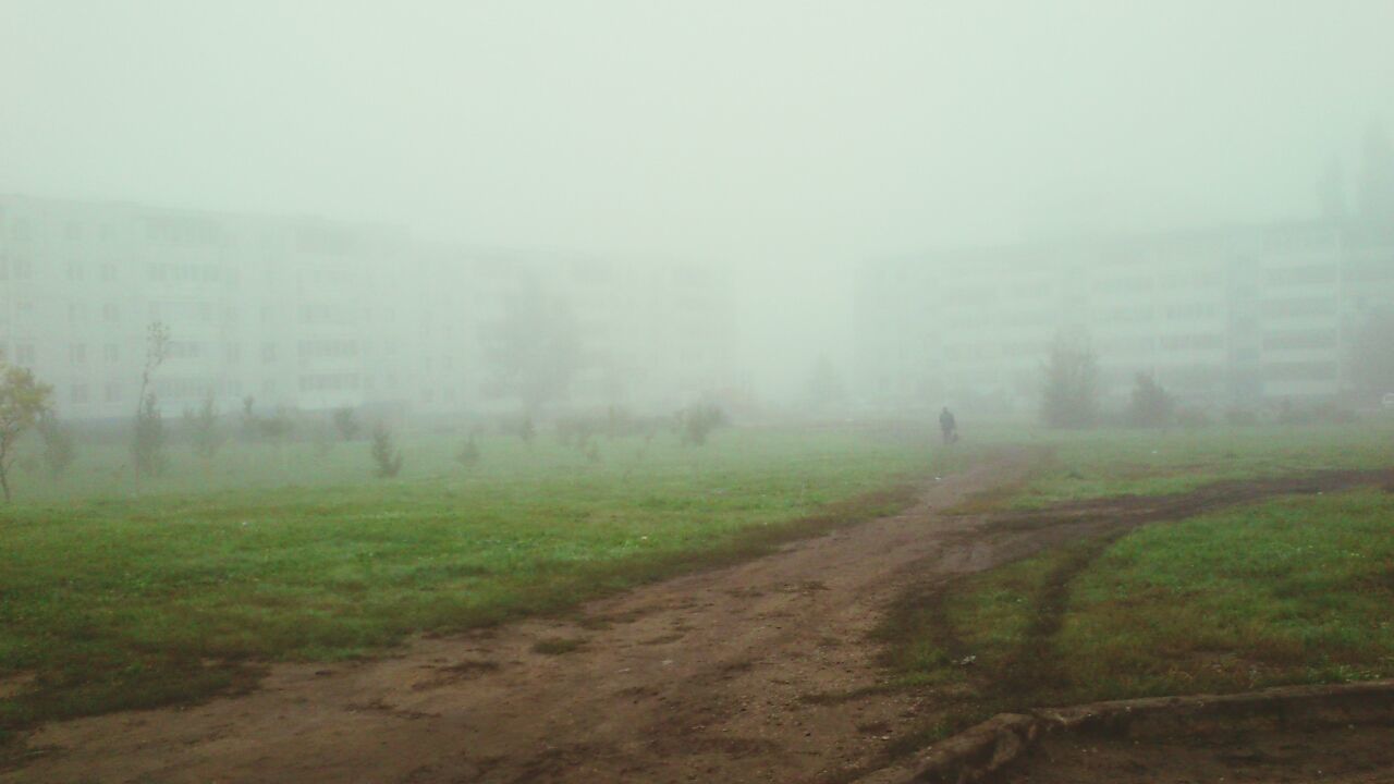 fog, foggy, weather, field, landscape, grass, tranquility, nature, mist, tranquil scene, beauty in nature, tree, copy space, day, growth, scenics, sky, outdoors, built structure