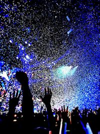 People enjoying at concert