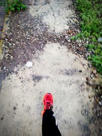 Rear view of person on wet road during rainy season