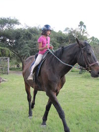 Horse riding horses in a field