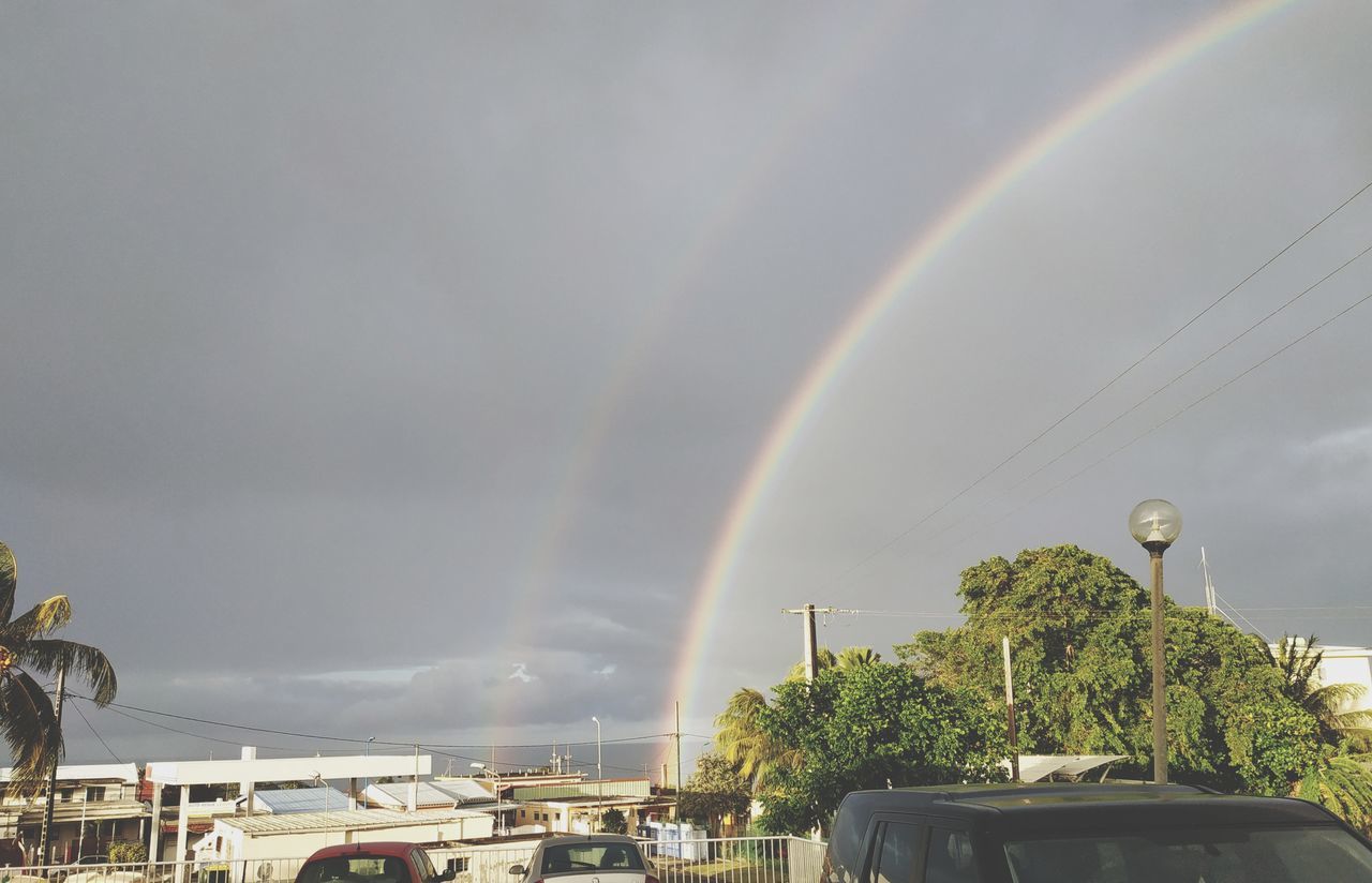 RAINBOW OVER PLANTS AGAINST SKY