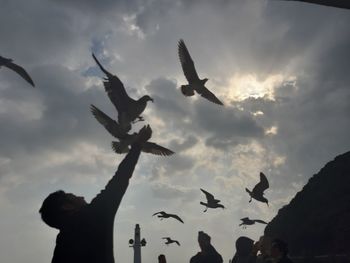 Low angle view of silhouette birds flying against sky