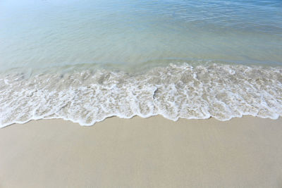 Scenic view of beach