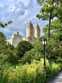 Trees and buildings against sky