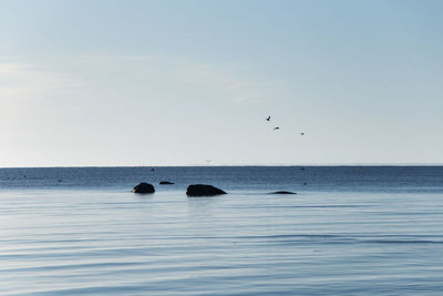 A beautiful landscape of a baltic sea beach