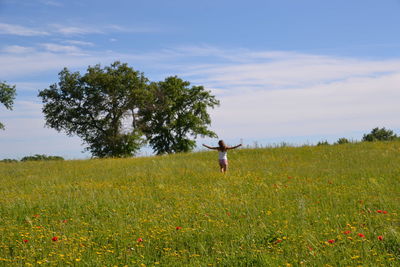 Scenic view of grassy field against sky