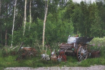 Abandoned cart on field in forest