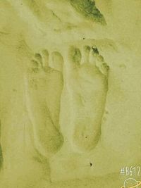 wall - building feature