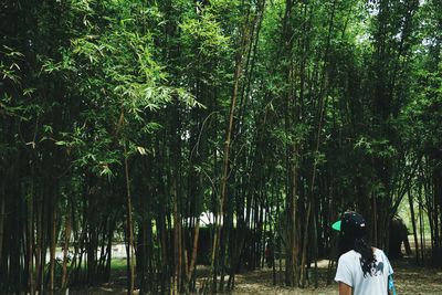 Rear view of people standing amidst trees in forest