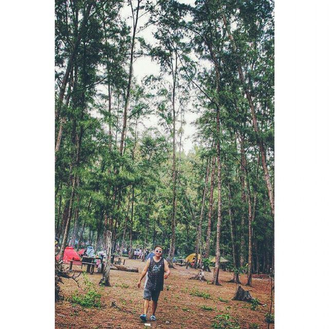 tree, transfer print, lifestyles, leisure activity, auto post production filter, men, rear view, person, tree trunk, growth, walking, full length, nature, forest, casual clothing, grass, day, standing