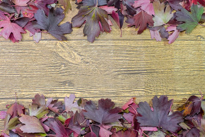 High angle view of dry leaves on wood during autumn