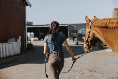 Rear view of woman leading horse on paddock