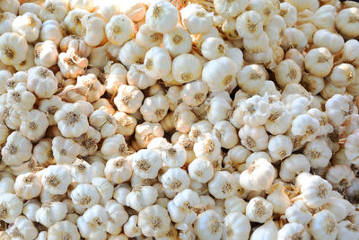 Full frame shot  of white garlic stacks texture background