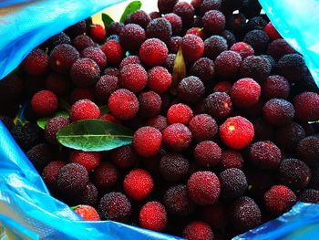 High angle view of strawberries