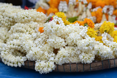 Close-up of white flowers in market