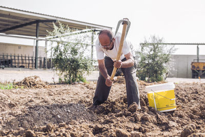 Man harvesting potatoes with hoe