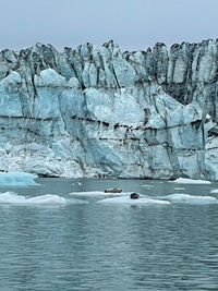 Scenic view of frozen sea against sky