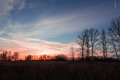 Silhouette bare trees on field against sky during sunset