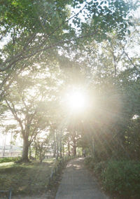 Road amidst trees against sky