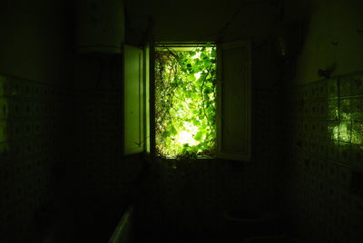 View of illuminated tunnel